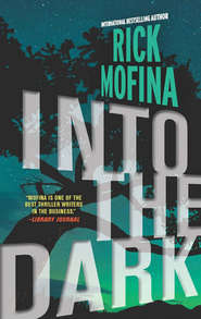 бесплатно читать книгу Into the Dark автора Rick Mofina