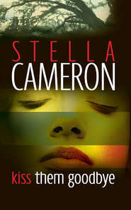 бесплатно читать книгу Kiss Them Goodbye автора Stella Cameron