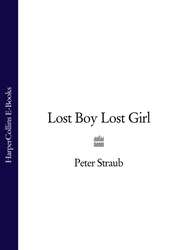 бесплатно читать книгу Lost Boy Lost Girl автора Peter Straub