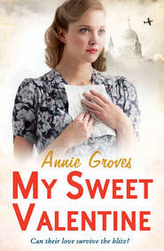 бесплатно читать книгу My Sweet Valentine автора Annie Groves