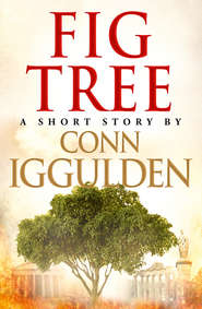 бесплатно читать книгу Fig Tree автора Conn Iggulden