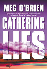 бесплатно читать книгу Gathering Lies автора Meg O'Brien