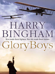 бесплатно читать книгу Glory Boys автора Harry Bingham