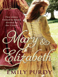бесплатно читать книгу Mary & Elizabeth автора Emily Purdy