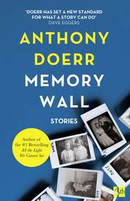бесплатно читать книгу Memory Wall автора Anthony Doerr
