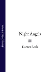 бесплатно читать книгу Night Angels автора Danuta Reah