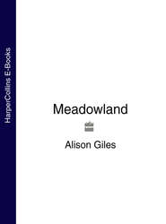 бесплатно читать книгу Meadowland автора Alison Giles