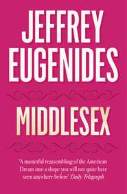 бесплатно читать книгу Middlesex автора Jeffrey Eugenides