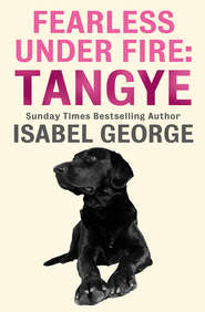 бесплатно читать книгу Fearless Under Fire: Tangye автора Isabel George