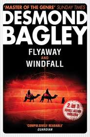 бесплатно читать книгу Flyaway / Windfall автора Desmond Bagley