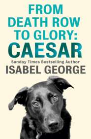 бесплатно читать книгу From Death Row To Glory: Caesar автора Isabel George