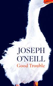 бесплатно читать книгу Good Trouble автора Joseph O’Neill