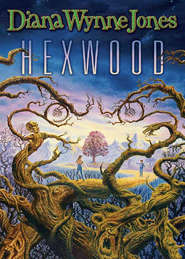 бесплатно читать книгу Hexwood автора Diana Jones