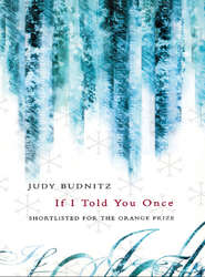 бесплатно читать книгу If I Told You Once автора Judy Budnitz