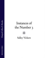 бесплатно читать книгу Instances of the Number 3 автора Salley Vickers