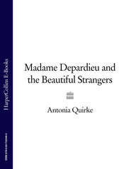 бесплатно читать книгу Madame Depardieu and the Beautiful Strangers автора Antonia Quirke