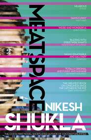 бесплатно читать книгу Meatspace автора Nikesh Shukla