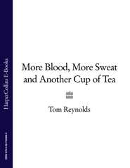бесплатно читать книгу More Blood, More Sweat and Another Cup of Tea автора Tom Reynolds