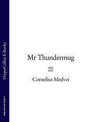 бесплатно читать книгу Mr Thundermug автора Cornelius Medvei