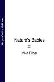 бесплатно читать книгу Nature’s Babies автора Mike Dilger