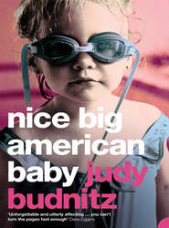 бесплатно читать книгу Nice Big American Baby автора Judy Budnitz