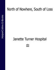 бесплатно читать книгу North of Nowhere, South of Loss автора Janette Hospital