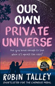 бесплатно читать книгу Our Own Private Universe автора Robin Talley