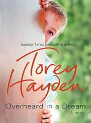 бесплатно читать книгу Overheard in a Dream автора Torey Hayden