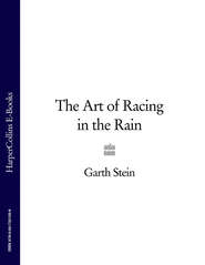 бесплатно читать книгу The Art of Racing in the Rain автора Garth Stein