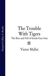 бесплатно читать книгу The Trouble With Tigers: The Rise and Fall of South-East Asia автора Victor Mallet