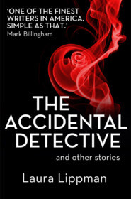 The Accidental Detective and other stories: Short Story Collection