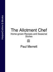 бесплатно читать книгу The Allotment Chef: Home-grown Recipes and Seasonal Stories автора Paul Merrett