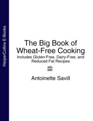 бесплатно читать книгу The Big Book of Wheat-Free Cooking: Includes Gluten-Free, Dairy-Free, and Reduced Fat Recipes автора Antoinette Savill