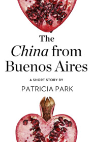 бесплатно читать книгу The China from Buenos Aires: A Short Story from the collection, Reader, I Married Him автора Patricia Park