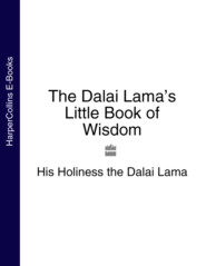 бесплатно читать книгу The Dalai Lama’s Little Book of Wisdom автора  Далай-лама XIV