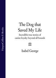 бесплатно читать книгу The Dog that Saved My Life: Incredible true stories of canine loyalty beyond all bounds автора Isabel George