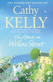 бесплатно читать книгу The House on Willow Street автора Cathy Kelly
