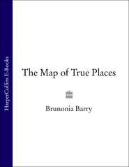 бесплатно читать книгу The Map of True Places автора Brunonia Barry