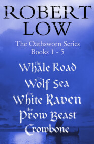 бесплатно читать книгу The Oathsworn Series Books 1 to 5 автора Robert Low
