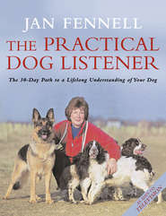 бесплатно читать книгу The Practical Dog Listener: The 30-Day Path to a Lifelong Understanding of Your Dog автора Jan Fennell