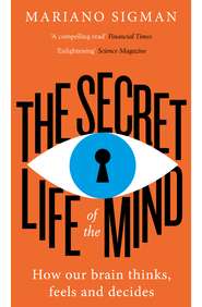 бесплатно читать книгу The Secret Life of the Mind: How Our Brain Thinks, Feels and Decides автора Mariano Sigman
