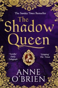 бесплатно читать книгу The Shadow Queen: The Sunday Times bestselling book – a must read for Summer 2018 автора Anne O'Brien
