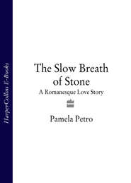 бесплатно читать книгу The Slow Breath of Stone: A Romanesque Love Story автора Pamela Petro