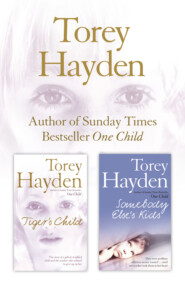 бесплатно читать книгу The Tiger’s Child and Somebody Else’s Kids 2-in-1 Collection автора Torey Hayden