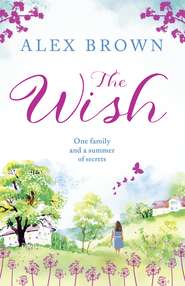 бесплатно читать книгу The Wish: The most heart-warming feel-good read you need in 2018 автора Alex Brown