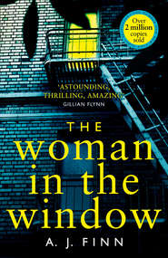 бесплатно читать книгу The Woman in the Window: The most exciting debut thriller of 2018 автора A. Finn