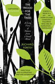 бесплатно читать книгу The Wood for the Trees: The Long View of Nature from a Small Wood автора Richard Fortey