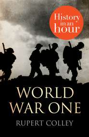 бесплатно читать книгу World War One: History in an Hour автора Rupert Colley