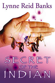 бесплатно читать книгу Secret of the Indian автора Lynne Banks