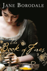 бесплатно читать книгу The Book of Fires автора Jane Borodale